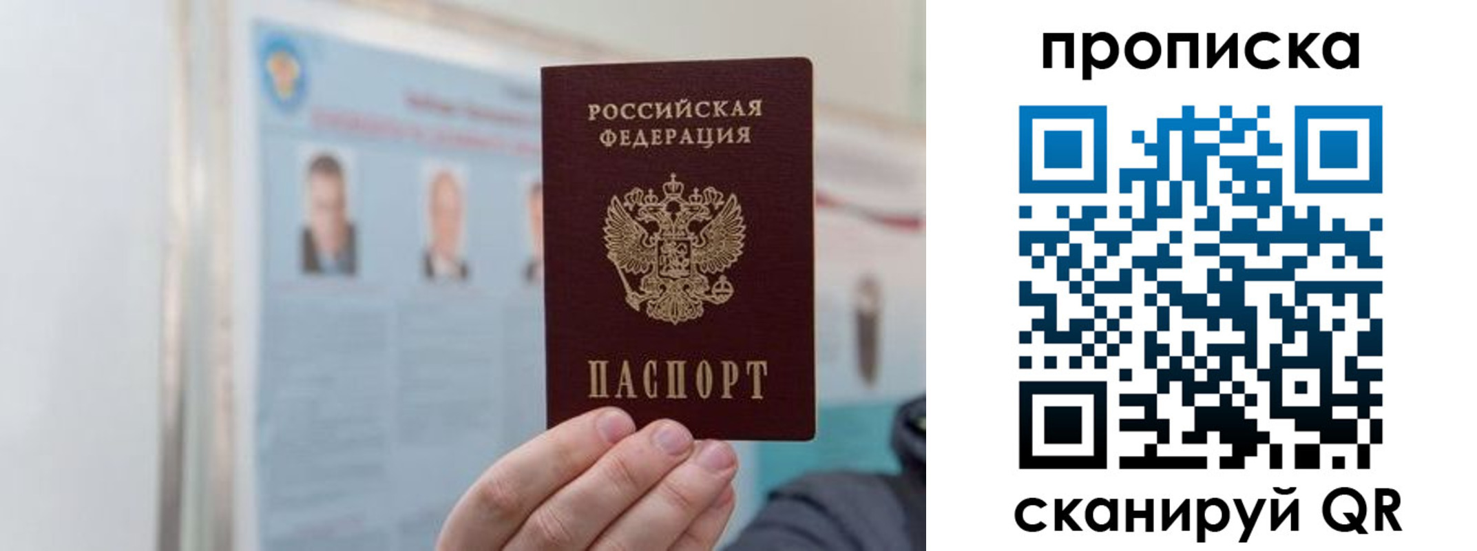 прописка 2025 в Белой Калитве